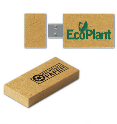 Promotion Eco Friendly Paper USB Flash Drives With Custom Made Logo